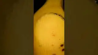 Banana close-up macro video and ASMR sound by@ThisisMACRO