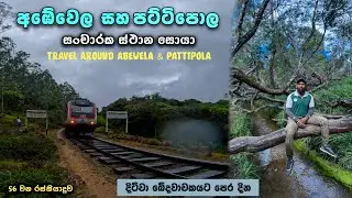 Abewela & Pattipola Travel Places | අඹේවෙල සහ පට්ටිපොල | New Zealand Farm