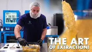 The Art Of Cannabis Extraction!