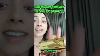 How Did Charlotte Get Pregnant??!