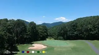 The Beauty of Bent Tree