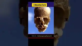 Fact about amazing Flower #shorts #facts #viral