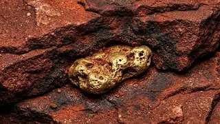 This tiny gold could buy you a car…💰💎#gold #goldrush #goldnugget #crystals #miningapp