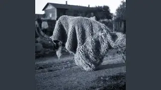 Acervo