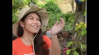 Dimpas Greentigrated Agri-tourism Farm &ndash; a rising farm tourism site in Davao Region