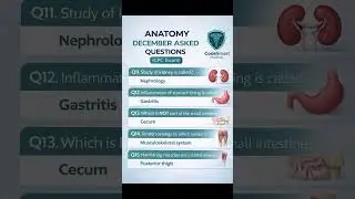 December CPC Exam Anatomy Questions | High-Yield & Frequently Asked