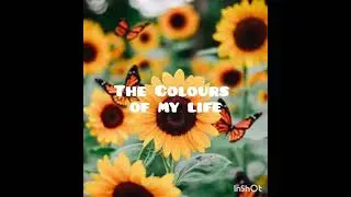 Colours of my life
