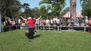 The Largest Pet Festival in the Midwest Took Over Tower Grove Park
