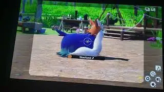 New Pokemon Snap (Nintendo Switch) Fun Playthrough Part 56: Research Camp (1st Run) This A Course?
