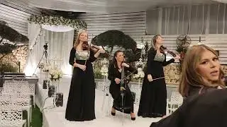 כנריות,כנריות לקבלת פנים,הרכב כנריות,כנריות לחתונה,כנריות לאירועים,כנרות,בר\ת מצווה,כינור,0546211560