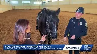Milwaukee police horse Tanner makes history after charging into gunfire
