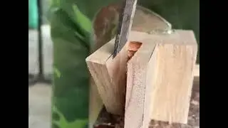 #Take you to play with wood #Share the production process every day #Mortise and tenon craft struct