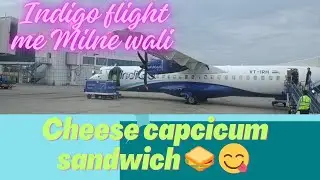 Indigo flight me Milne wali cheese capsicum sandwich 🥪😋 family vlog #indigo #FlyingHigh 
