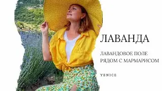Где цветет лаванда в Мармарисе. Лавандовое поле.