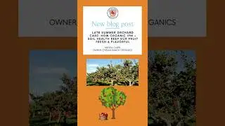 Late Summer Orchard Care: How Organic IPM + Soil Health Keep Our Fruit Fresh & Flavorful - Blog