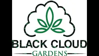 Indoor Medical Cannabis Grow Room Equipment Walk Through