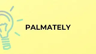 What is the meaning of the word PALMATELY?