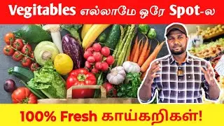 100% Fresh 🥦🍅 காய்கறிகள்! 🥕🍆 | Fresh Vegetables | Mr.Ponneri+