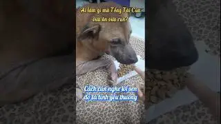 Khi Sen m&ecirc; coi phim Avatar 3 đển Tổng T&agrave;i C&uacute;n ở nh&agrave; một m&igrave;nh. Ai l&agrave;m g&igrave; m&agrave; Tổng T&agrave;i vừa ăn vừa run??