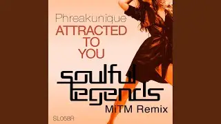 Attracted to You (Mitm Remix)