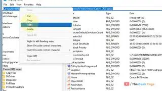 Windows 11: Unable to install printer. Another printer or printer with this name already exists Fix