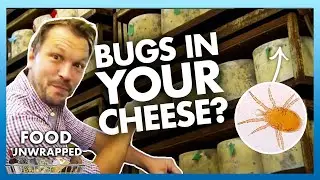 There are mites in our cheese? 🪲