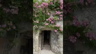 Rose Season At Haddon Hall