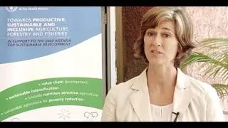 FAO&rsquo;s Regional Initiatives in Africa: helping countries to meet their targets