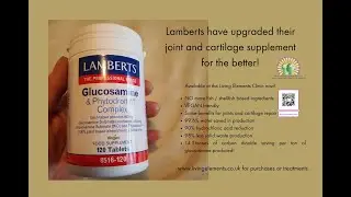 Updated product is now all plant-based - Glucosamine and Phytodroitin