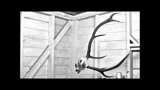 Loops Haunt - Zenith - Black Acre Records
