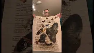 Puzzle Pickup Compilation # 13