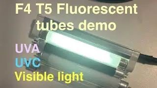 T5 4W Fluorescent Tube Demo &ndash; Regular, Blacklight & Germicidal Lamps