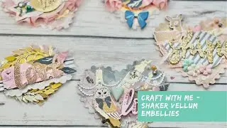 Craft with Me - Shaker Vellum Embellies