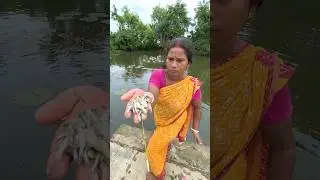 Unavailable hook fishing in the lotus pond using small fish bait #video #hookfishing #shorts #hook