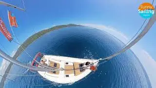 Sunny Sailing - Dolphins around the Sunny Mood