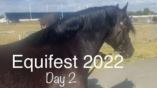 The last ever equifest horse show 2022 😭 day 2, horse show vlog, #inhandshow #horseshow  #horse