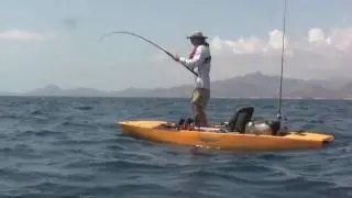 Morgan's Yellow Fin Tuna