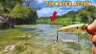 Topwater Fishing Texas River After The FLOODS!