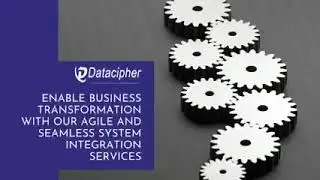 System Integration Services from Datacipher