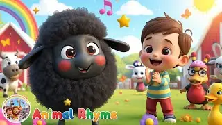 Baa Baa Black Sheep | Jack&rsquo;s Viral Sharing Song | Learn Kindness & Giving