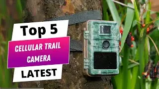 ✅ Топ-5 лучших мобильных фотоловушк | Лучшая сотовая фотоловушка