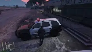 Green Light Role Play GTA Online Roleplay on Console