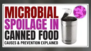 Understanding Microbial Spoilage in Canned Food | Causes & Prevention Explained