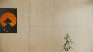 Video Carving