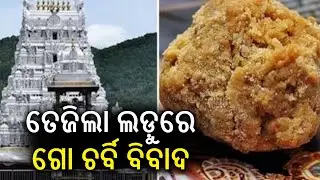 Animal fat in Tirupati Laddu Prasadam? Controversy thickens as Andhra govt cites lab test report