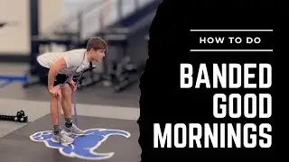 Banded Good Mornings (Exercise Library)