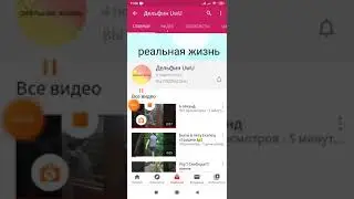 Пиар
