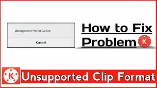 Unsupported video format / clip /codec / problem in Kinemaster solution