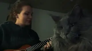 Watch My Cat's Surprising Response to My Music!