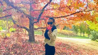 BEAUTIFUL K1 WINERY🥂🍁🍂